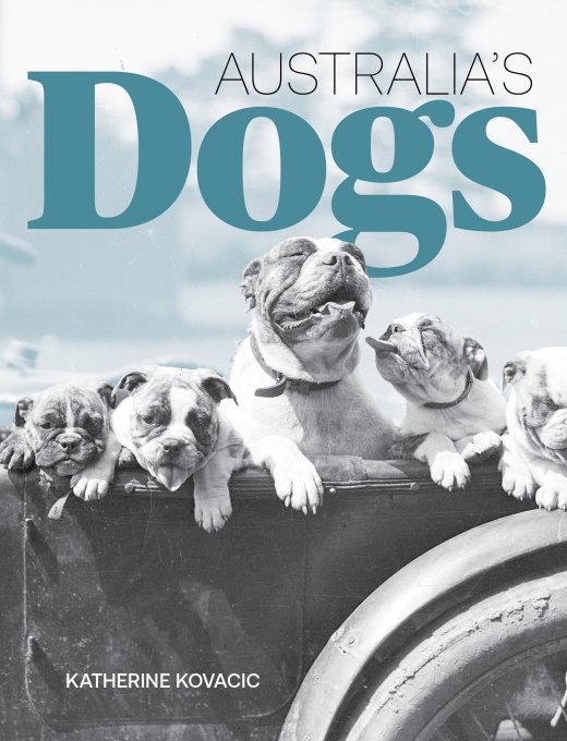 A light teal tones background with a greyscale wagon with a large wheel with 5 dogs sitting in the back. Words at the top read: 'Australia's Dogs