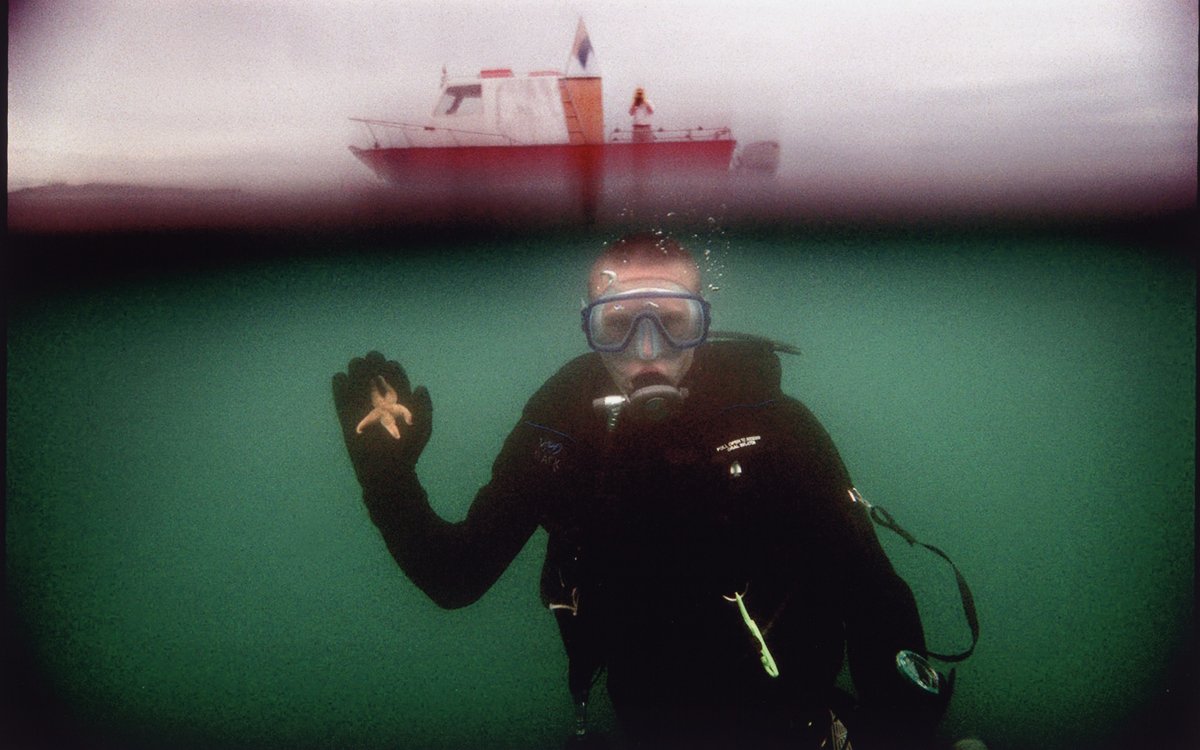 An image of a person underwater in scuba gear, holding a starfish. Above the waterline is a boat.
