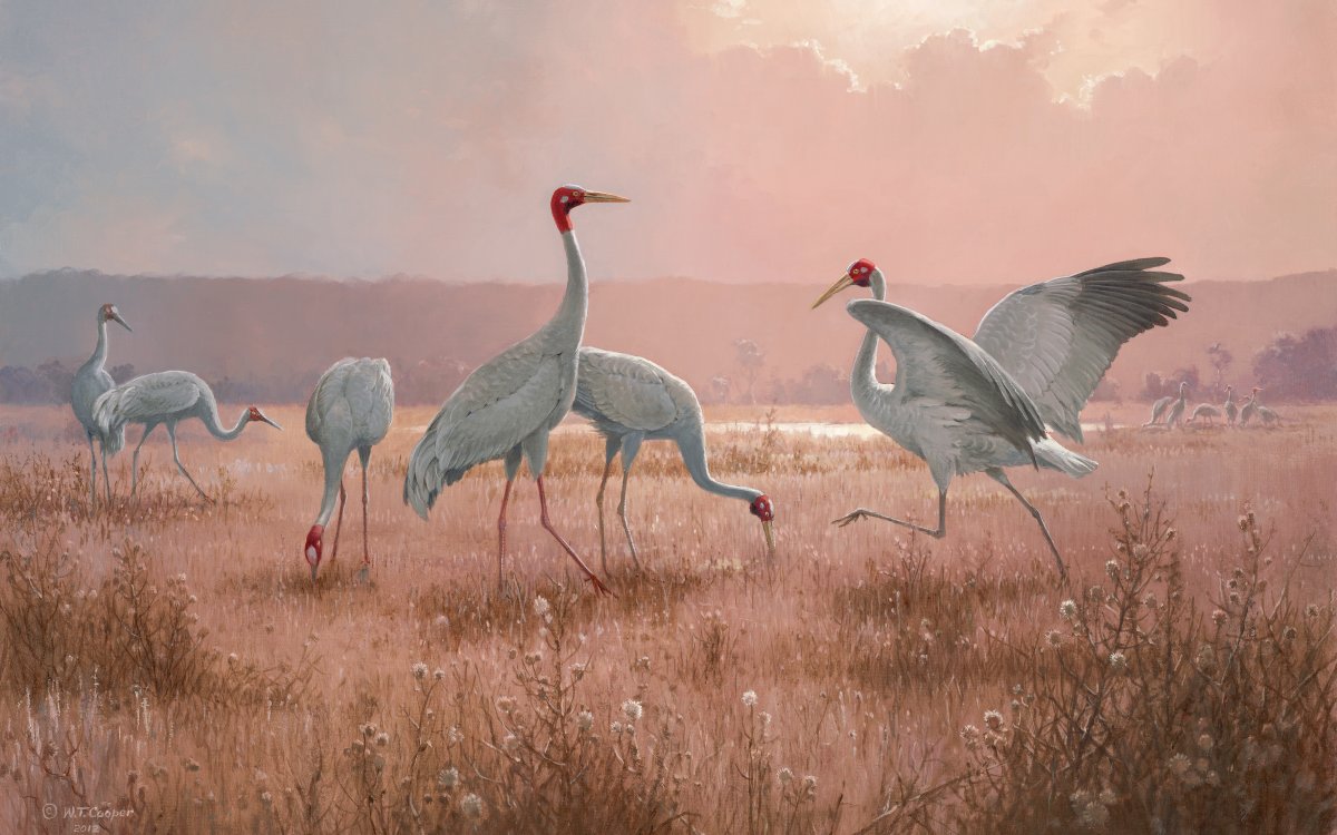 A painting of five crane birds standing on a grassy surface with mountains in the background.