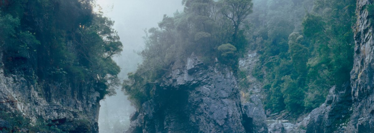 Tasmanian cliffs and vegetation 