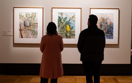 The backs of two people standing looking at 3 framed floral images on a wall.