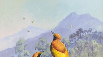Two golden bower birds look towards mountain and sky