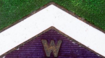 Detail of a 'votes for women' badge worn by Bessie Rischbieth in c. 1913