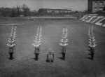 Black and white photo of four rows of women gymnasts on a Sydney oval in about 1935