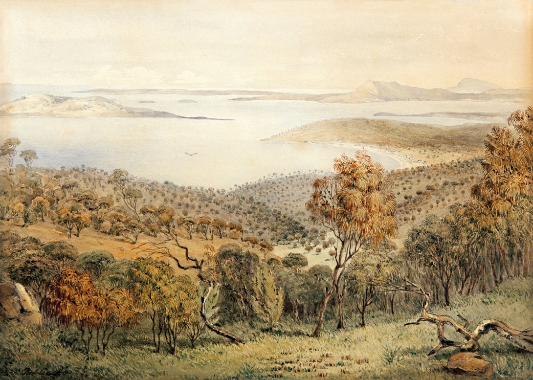 A painting of wooded bushland with a view into the sea.