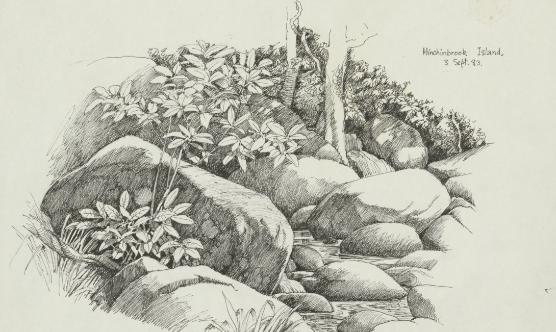 Illustration of flowers and trees growing between rocks going up a small incline.